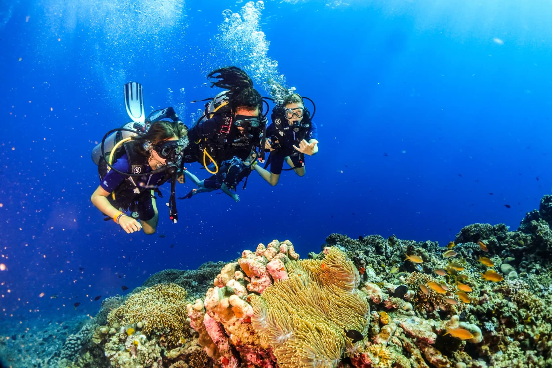 Learn Scuba Diving in Gili Islands