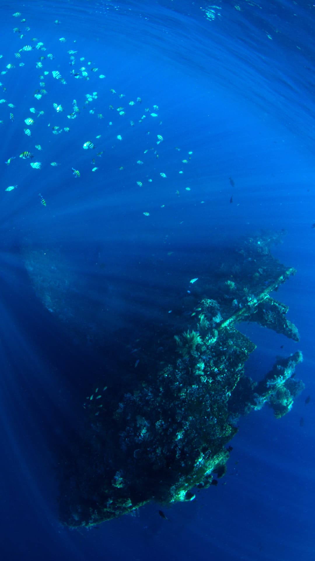 Learn Freediving in Tulamben 4