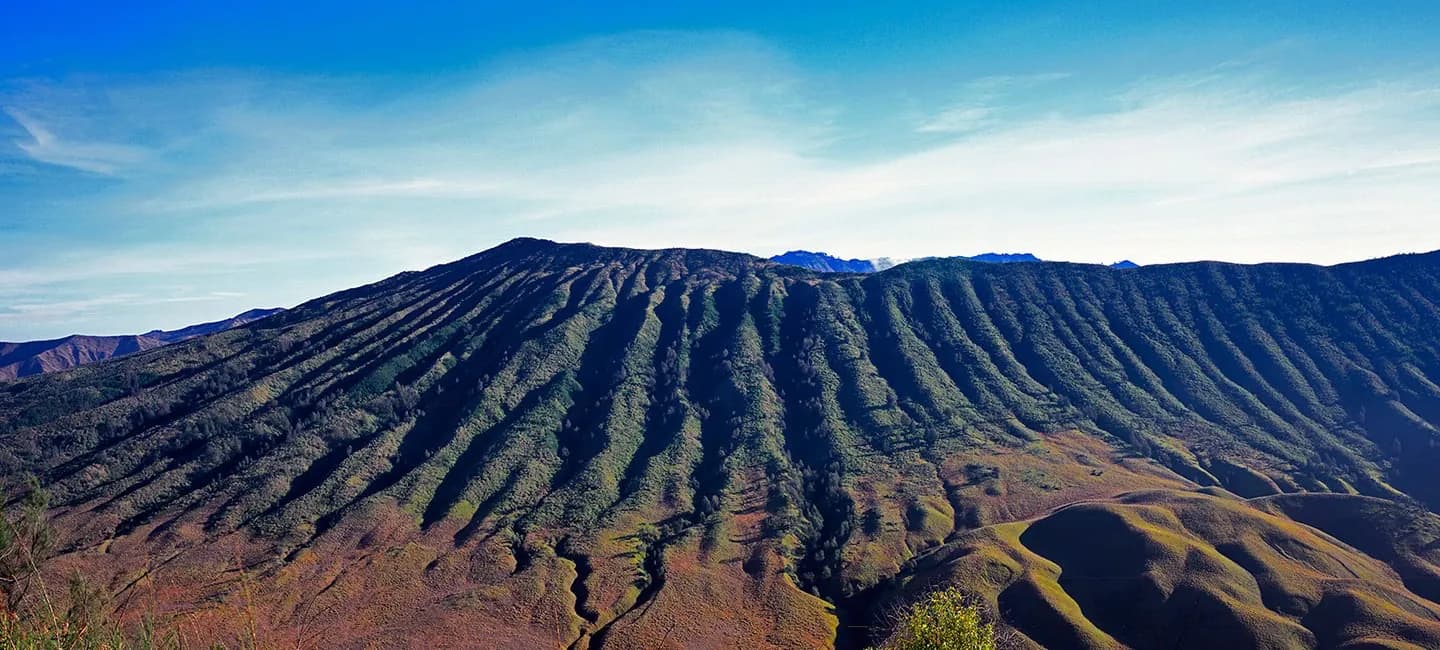Jiwa Jawa Resort Bromo 1