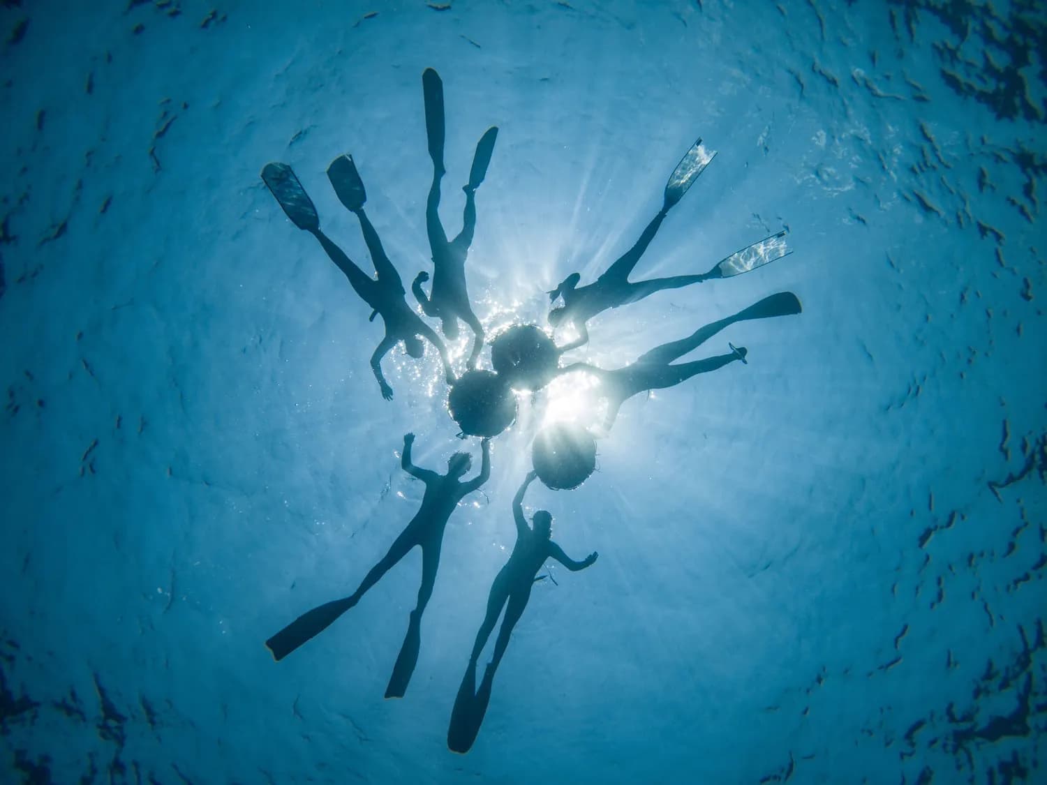 Learn Freediving in The Gili Islands 5