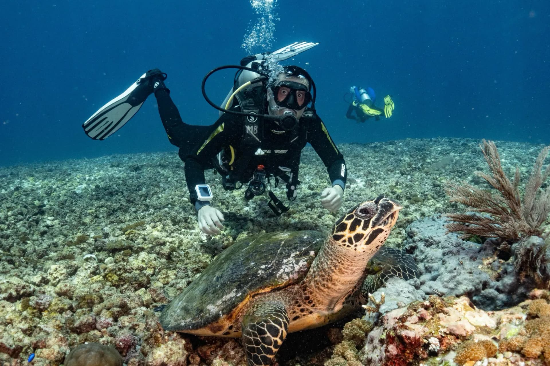 Scuba Diving Liveaboard in Komodo 16