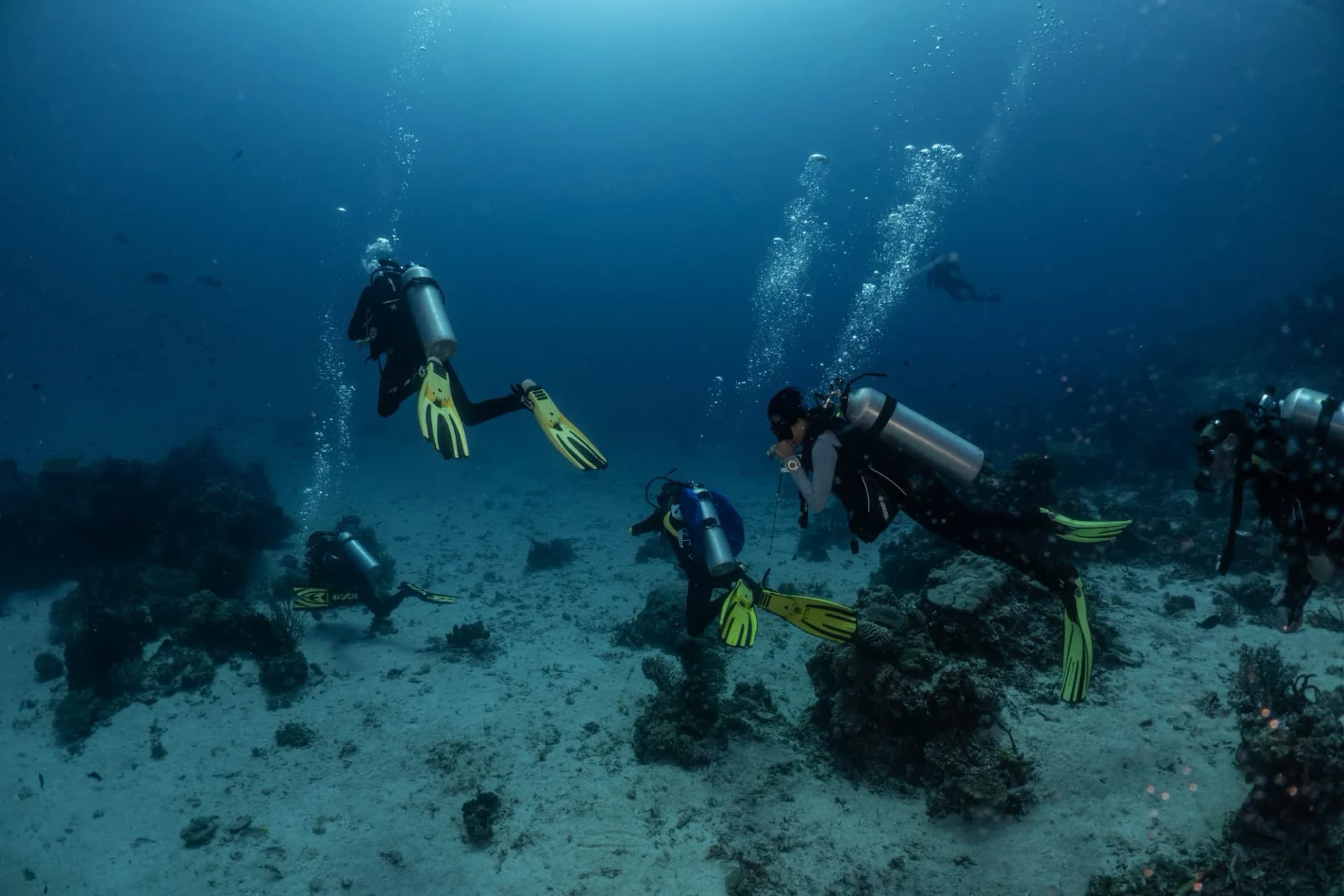 Scuba Diving Liveaboard in Komodo 23