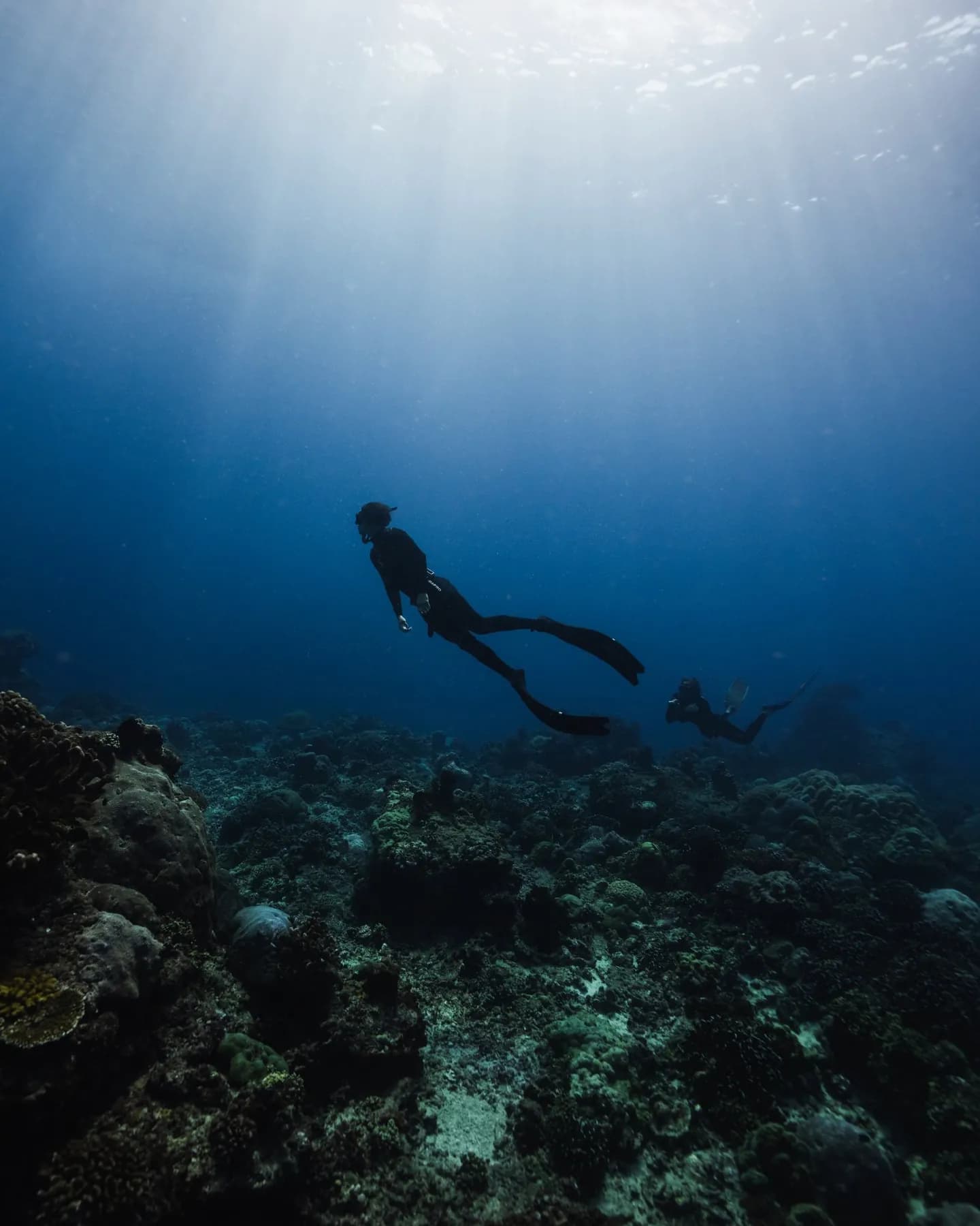 Learn Freediving in The Gili Islands 11