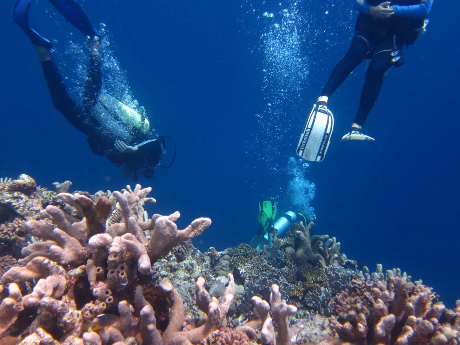 Kadidiri Paradise Resort and Dive Center 5