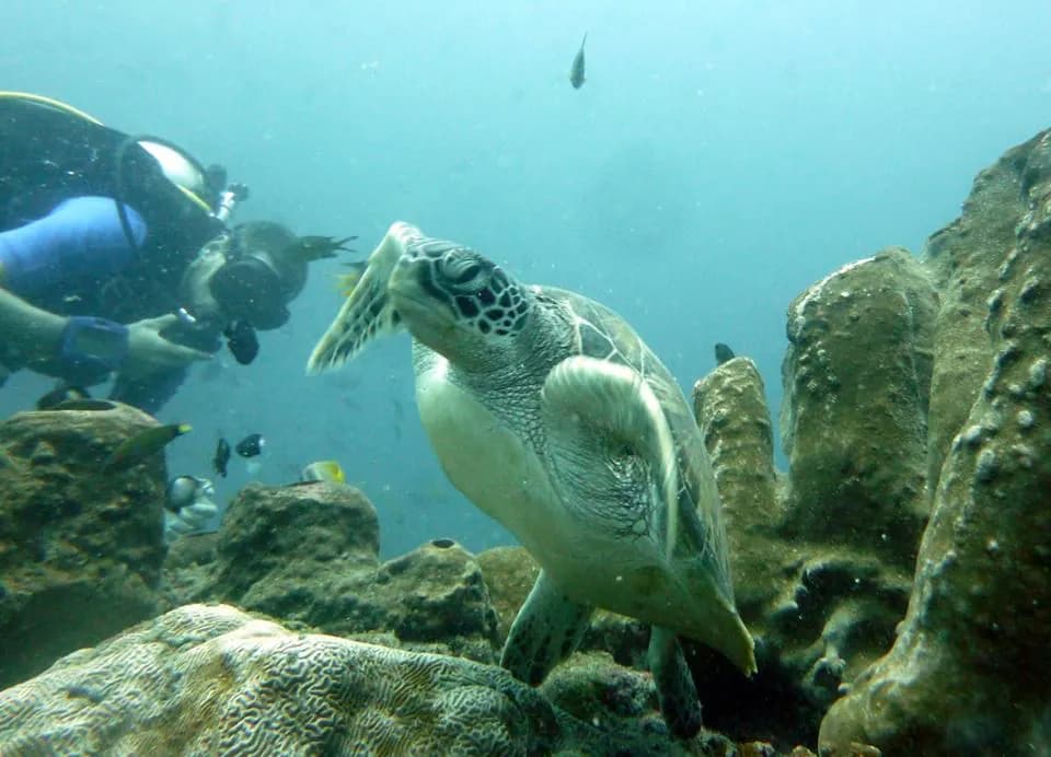 Kadidiri Paradise Resort and Dive Center 15