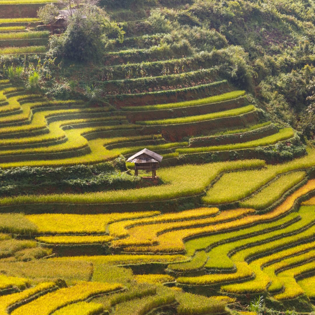 Private Day Trip in Bali with a Guide 2
