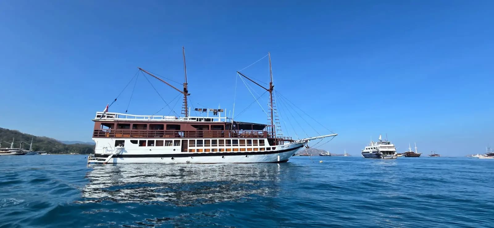 Seamore Papua 1