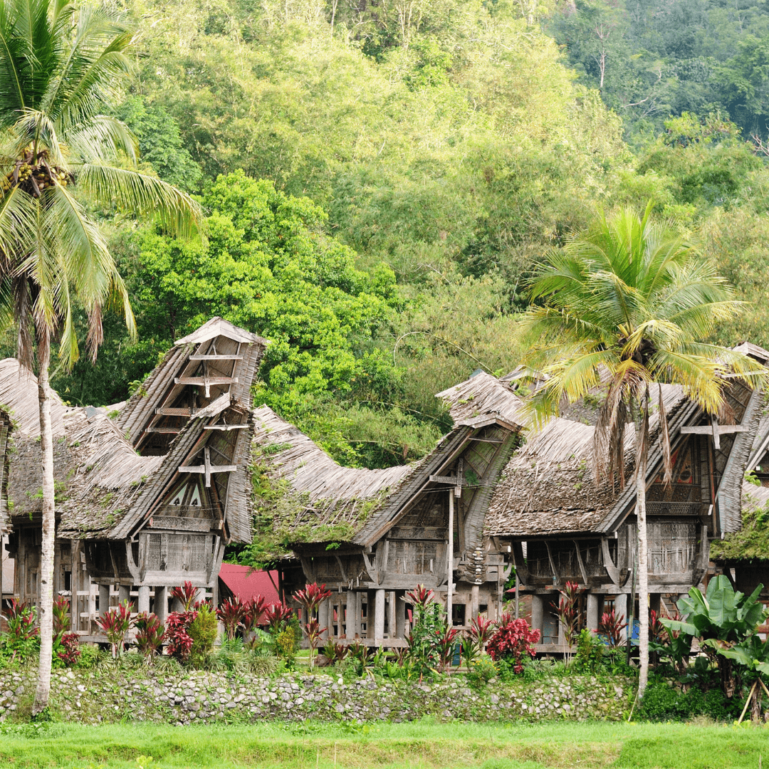 5 Days Tour in Toraja 12