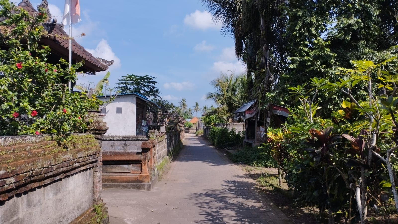 E-bike Tour Around Ubud 9