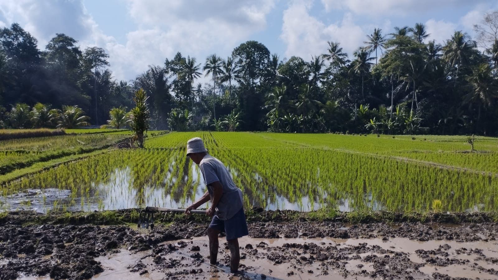 E-bike Tour Around Ubud 11