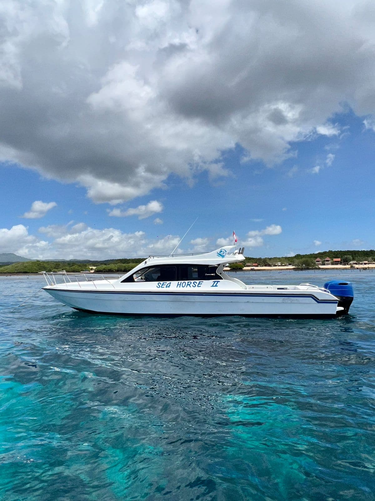 Private Boat Trip to Nusa Penida 32