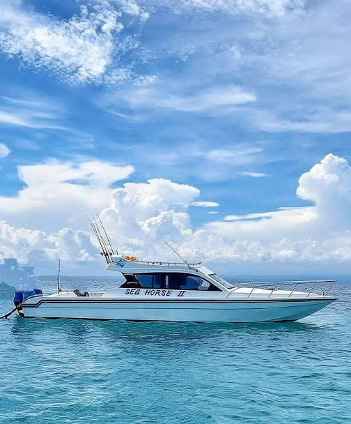 Private Boat Trip to Nusa Penida 33
