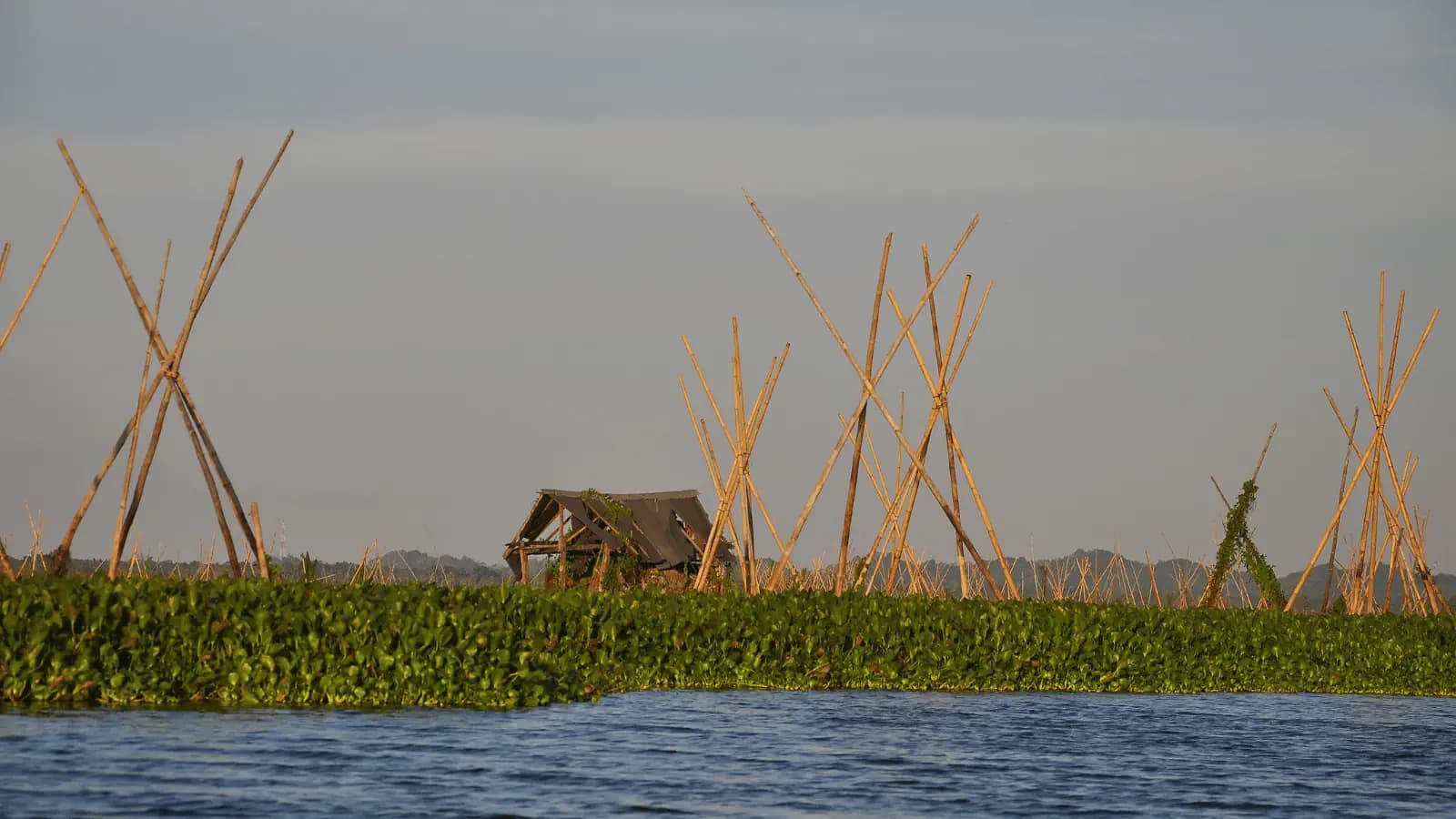7 Days Tour in South Sulawesi | Toraja – Lake Tempe  – Rammang Rammang 15