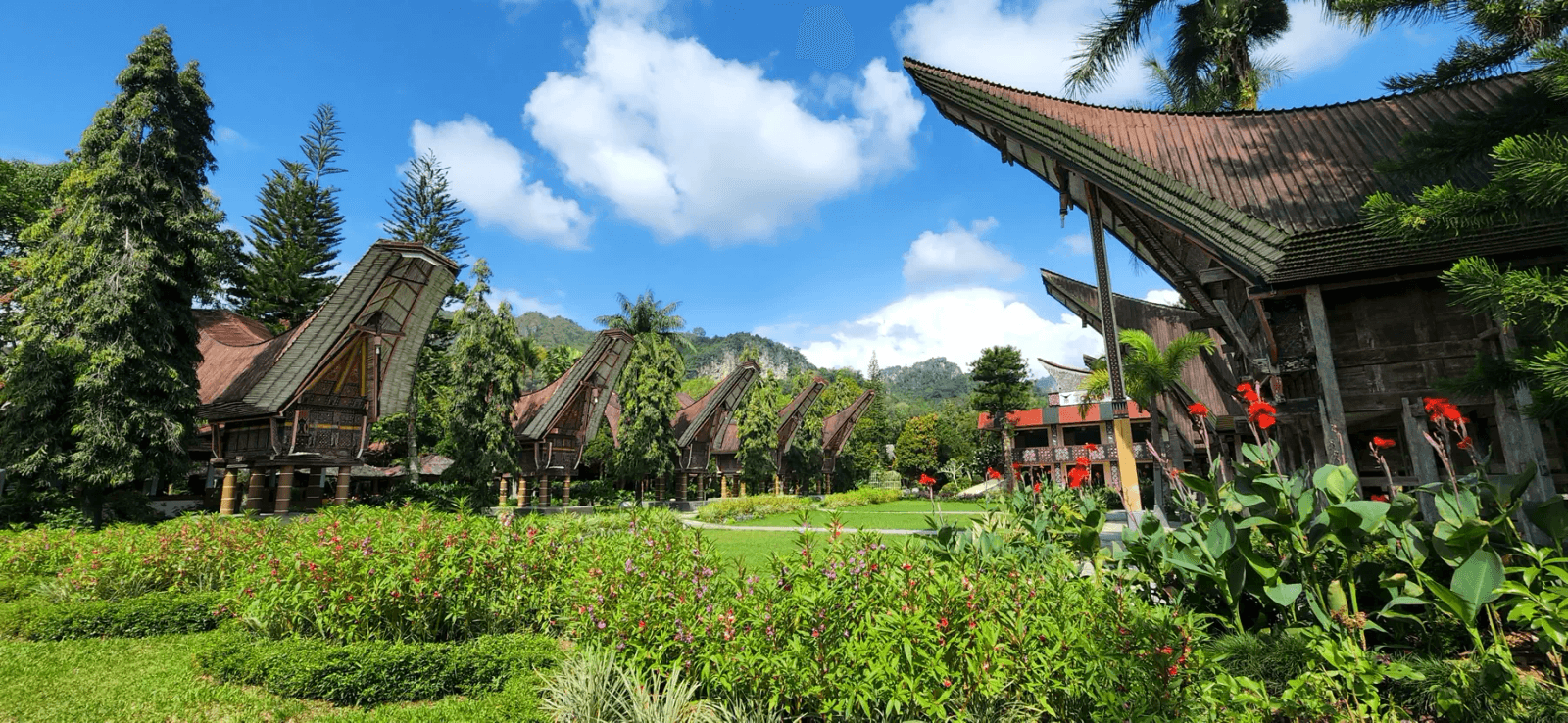 7 Days Tour in South Sulawesi | Toraja – Lake Tempe  – Rammang Rammang 11
