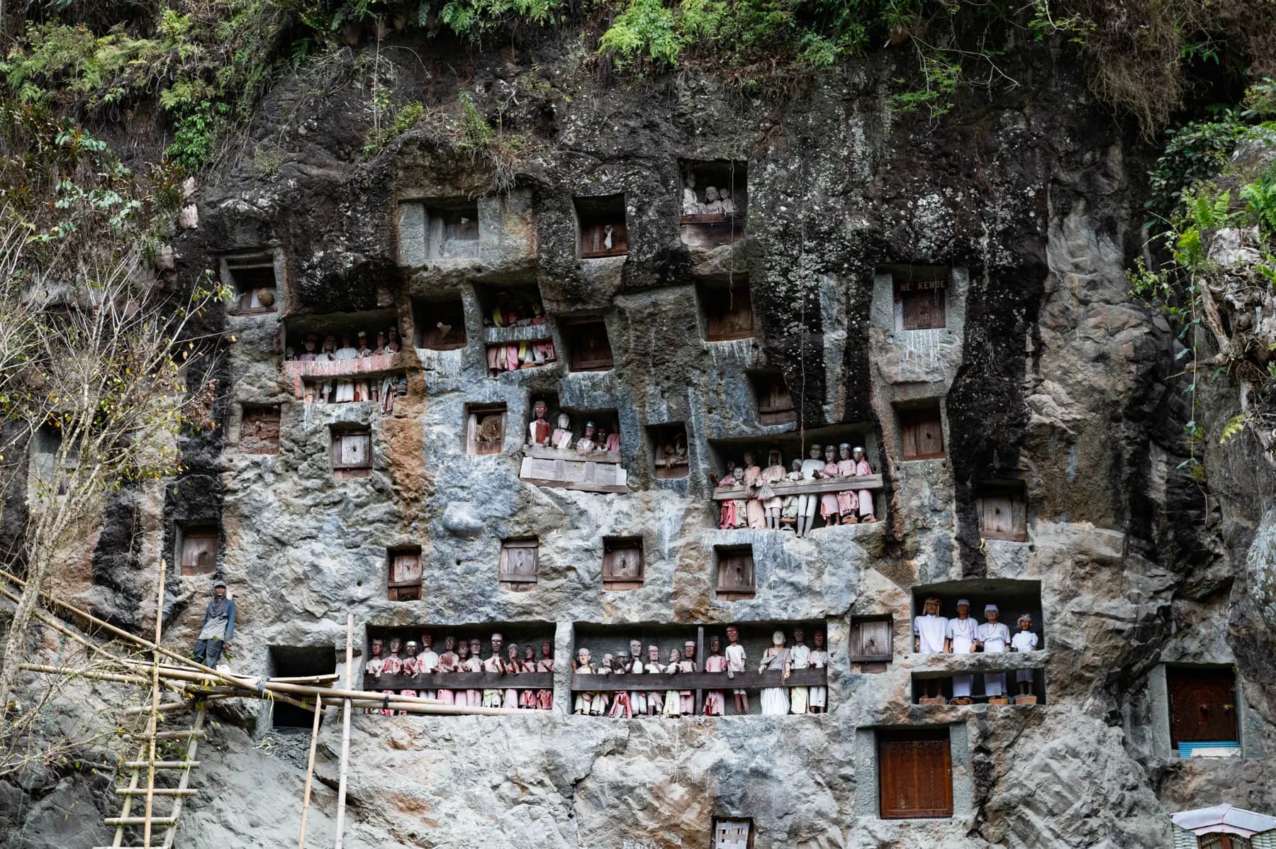 5 Days Tour in Toraja 9