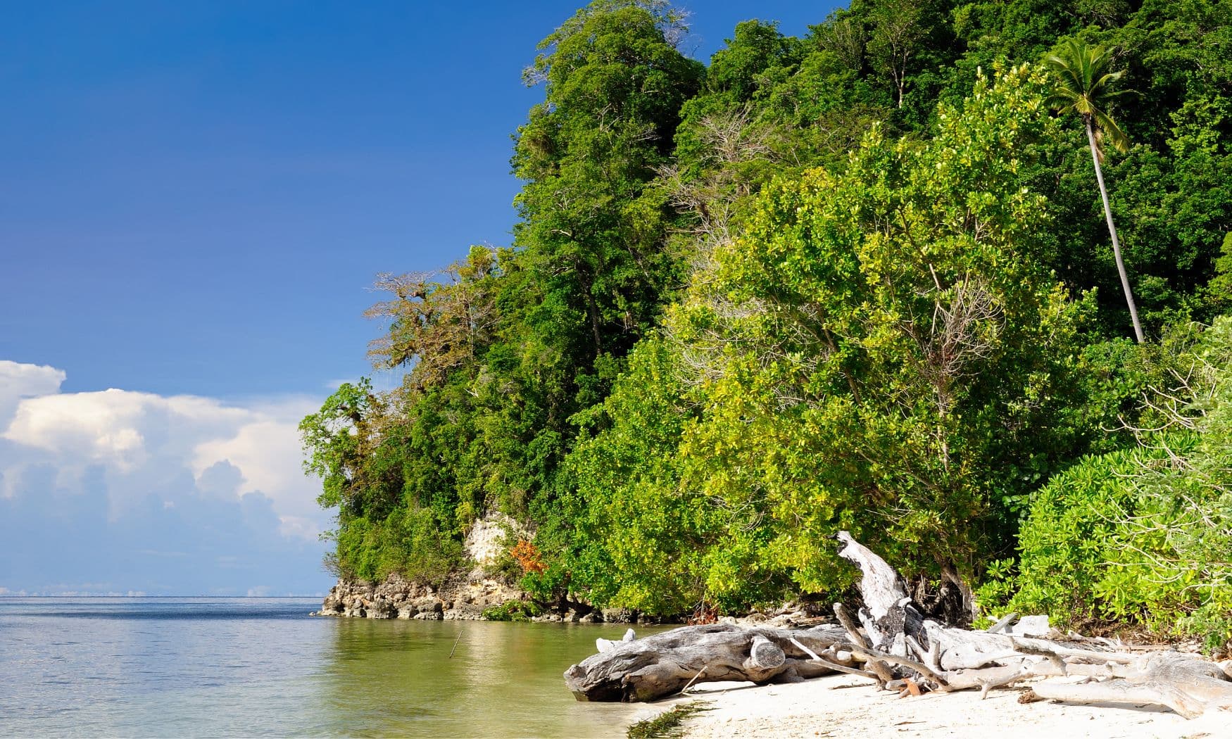 18 Days Sulawesi Tour: Bira – Lake Tempe – Toraja – Togian Islands 20