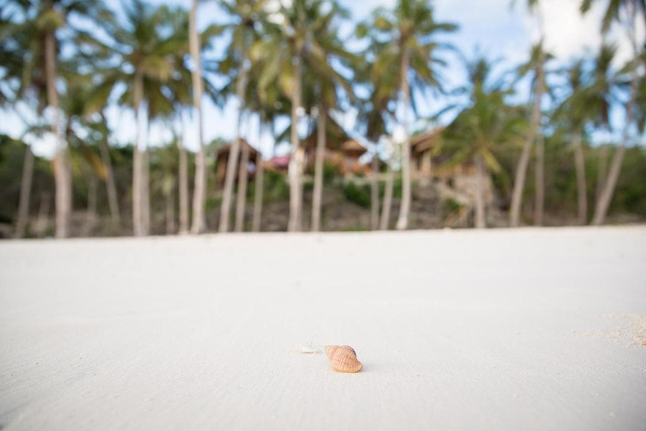 Bara Coco Bungalows 7