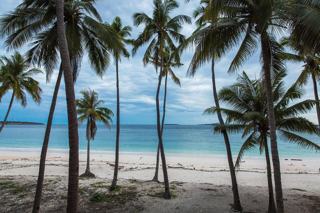 Bara Coco Bungalows 11