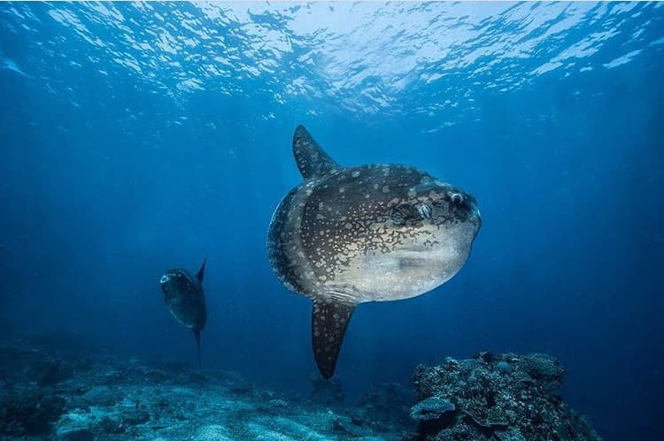 Nusa Penida 2
