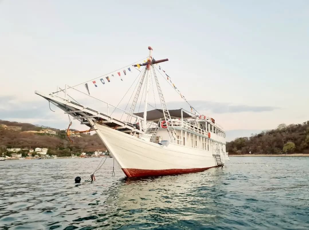 Noah Cruise 1