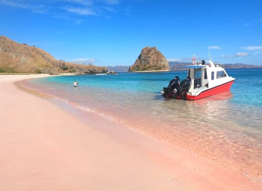 Excursion d’une Journée dans le Parc National de Komodo 2