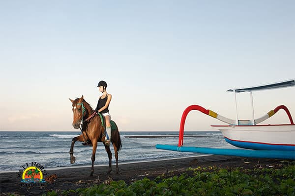 Horse Riding at Saba Beach 1