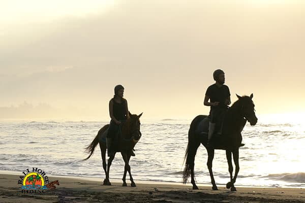 Horse Riding at Saba Beach 3