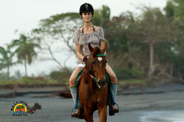 Horse Riding at Saba Beach 2