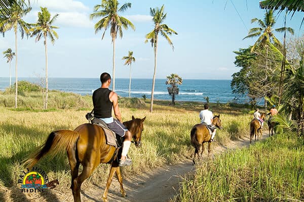 Horse Riding at Saba Beach