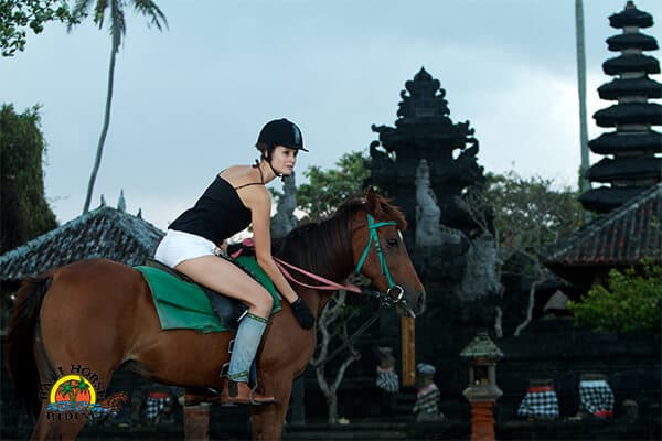 Horse Riding at Saba Beach 6
