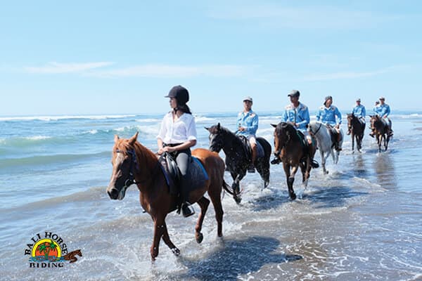 Horse Riding at Saba Beach 9