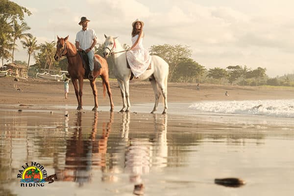 Horse Riding at Saba Beach 10