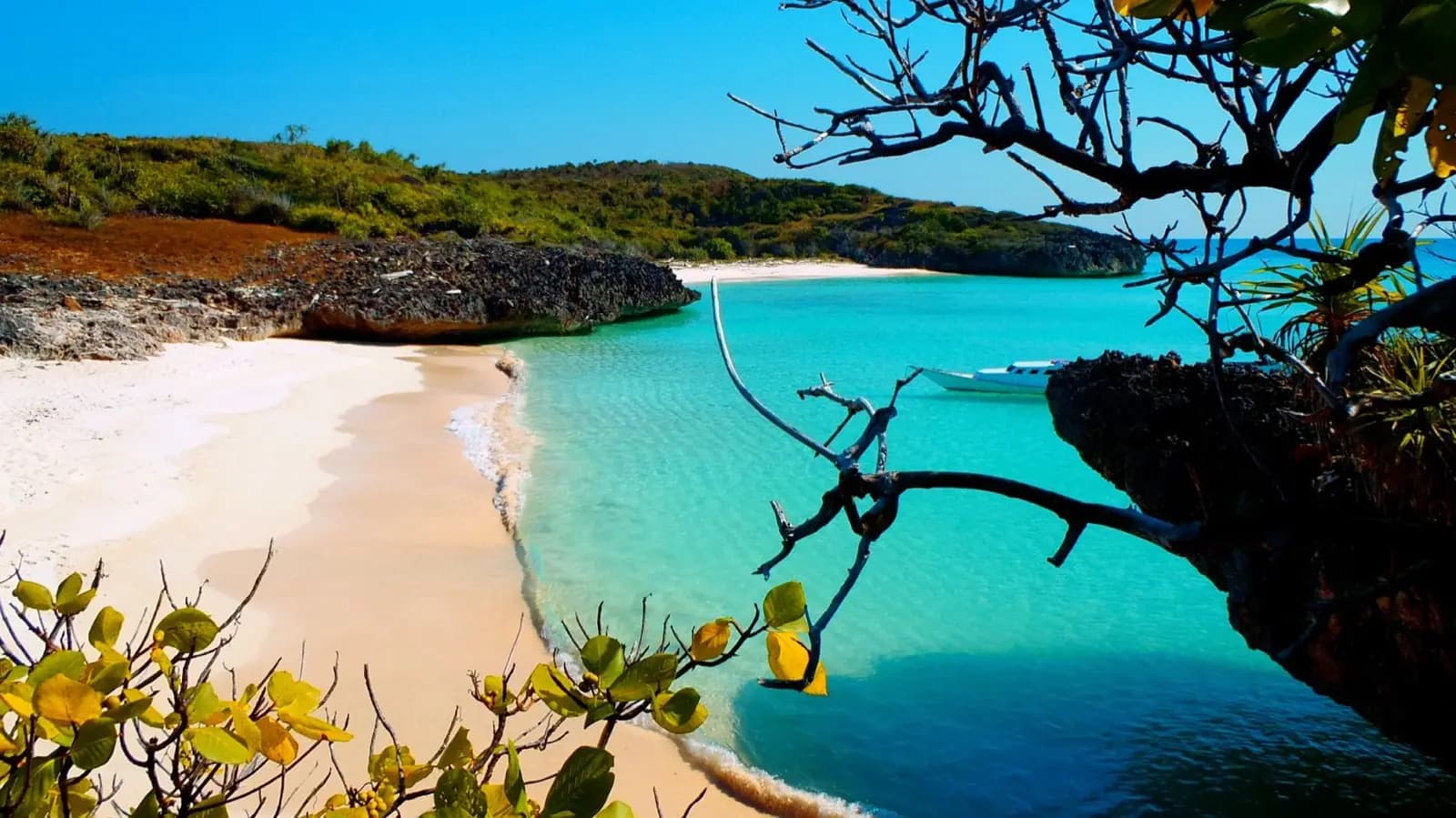 Pearl Beach Cottage 20