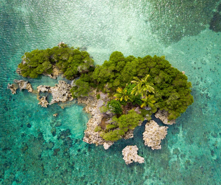 Croisière Plongée en Mer de Banda 14