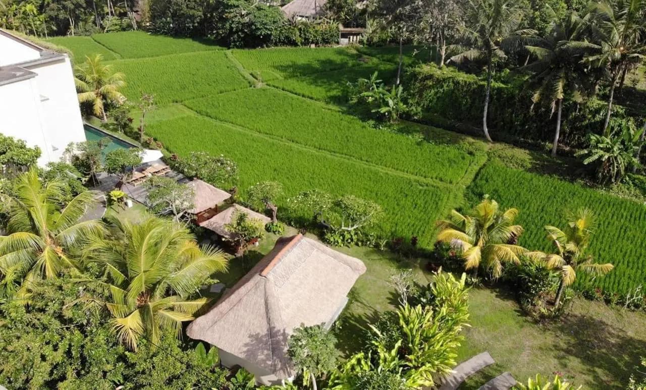 Byasa Ubud Hotel 21