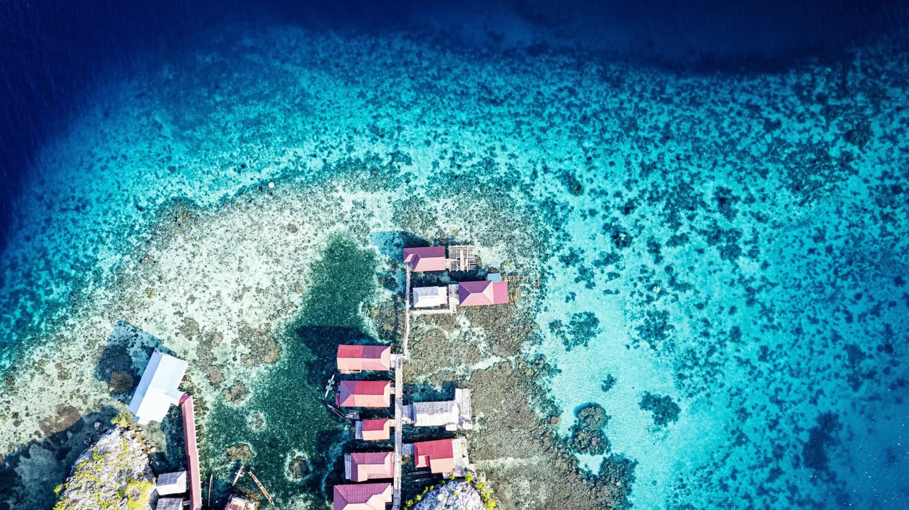 Sulawesi & Îles Togian