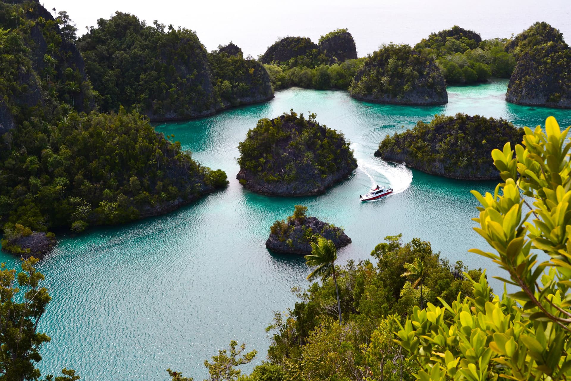 Croisière plongée sous-marine à Raja Ampat 13
