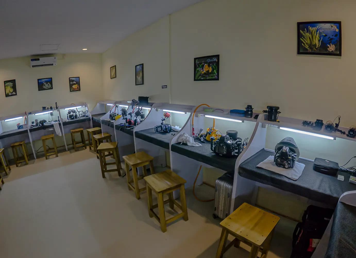 Bastianos Bangka Dive Resort 12