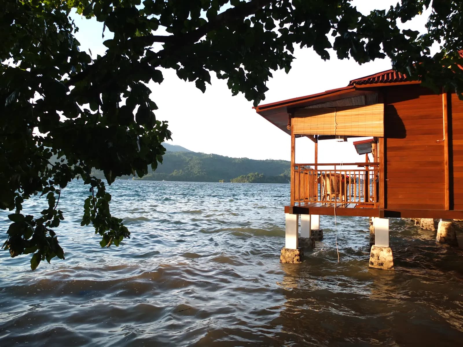 Bastianos Froggies Lembeh Dive Resort 15
