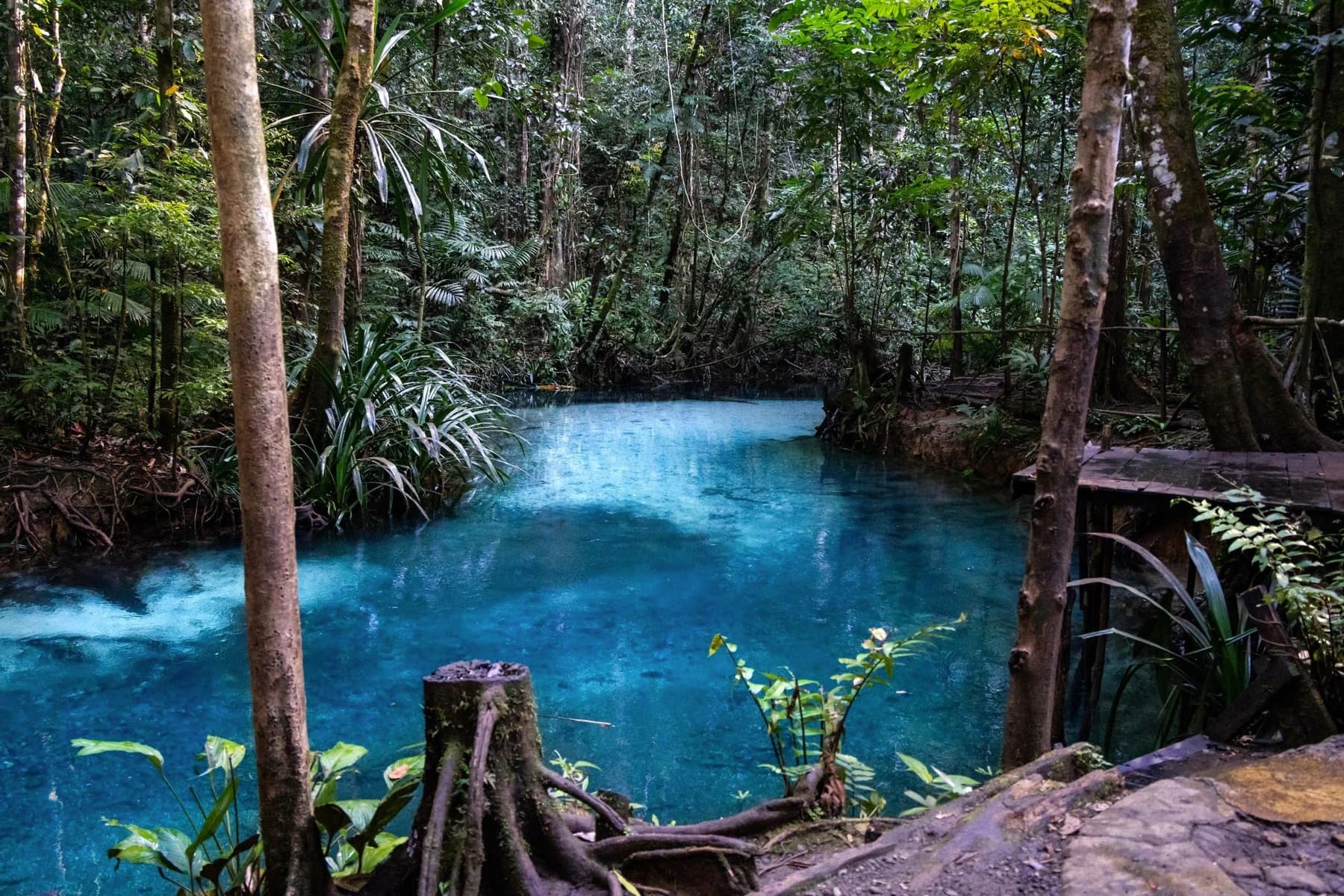 Safari Plongée à Raja Ampat 8