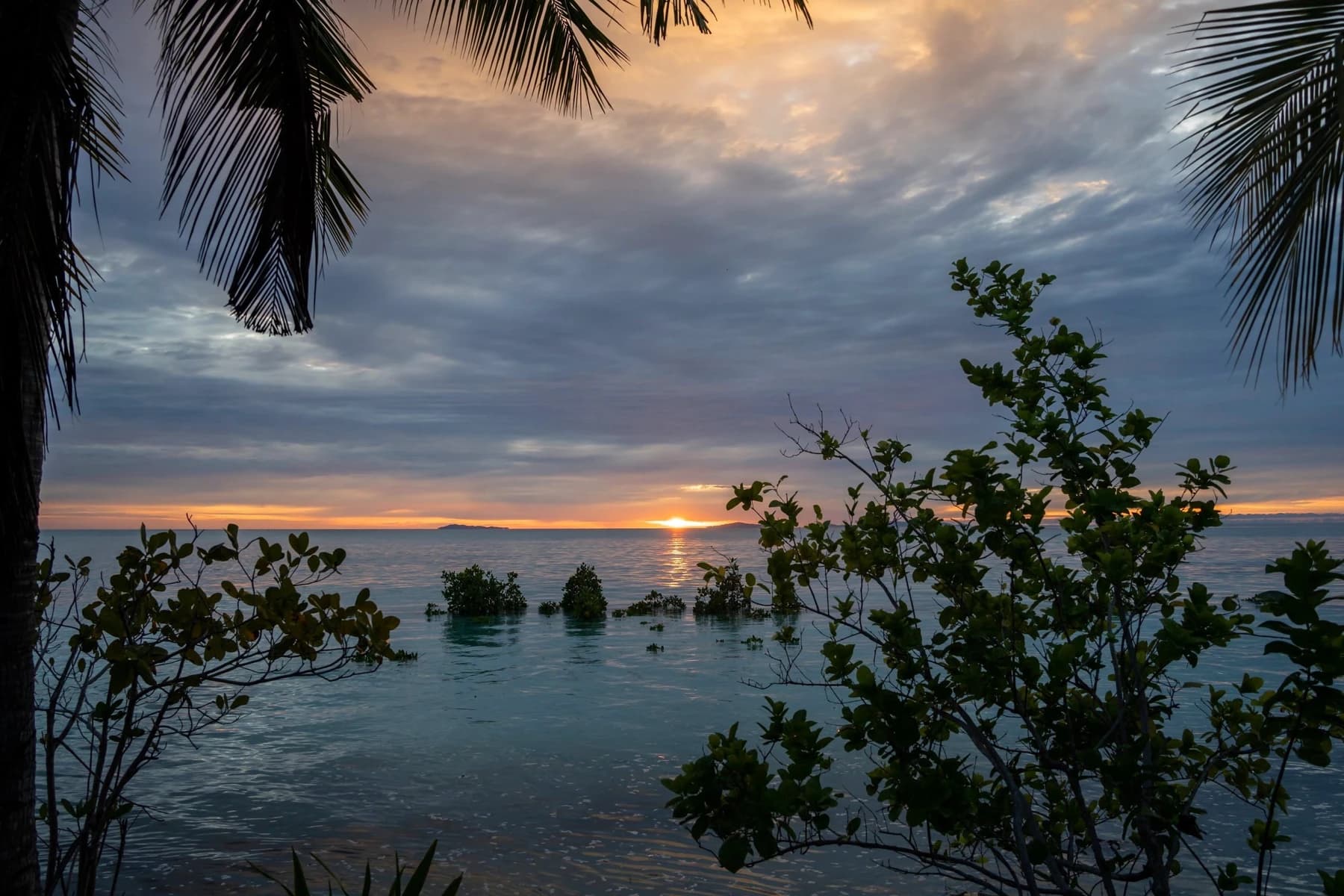 Safari Plongée à Raja Ampat 6