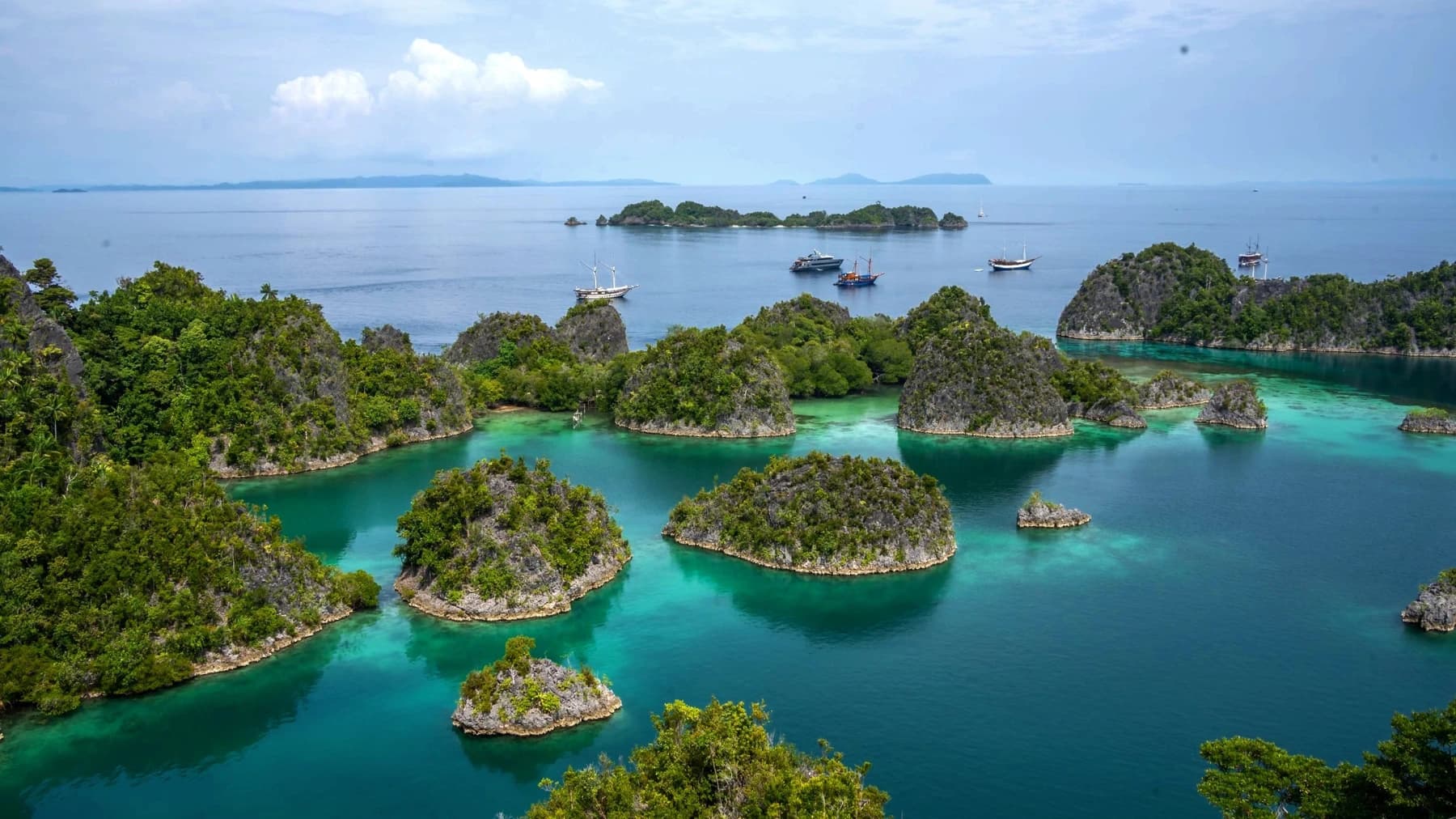Safari Plongée à Raja Ampat 5