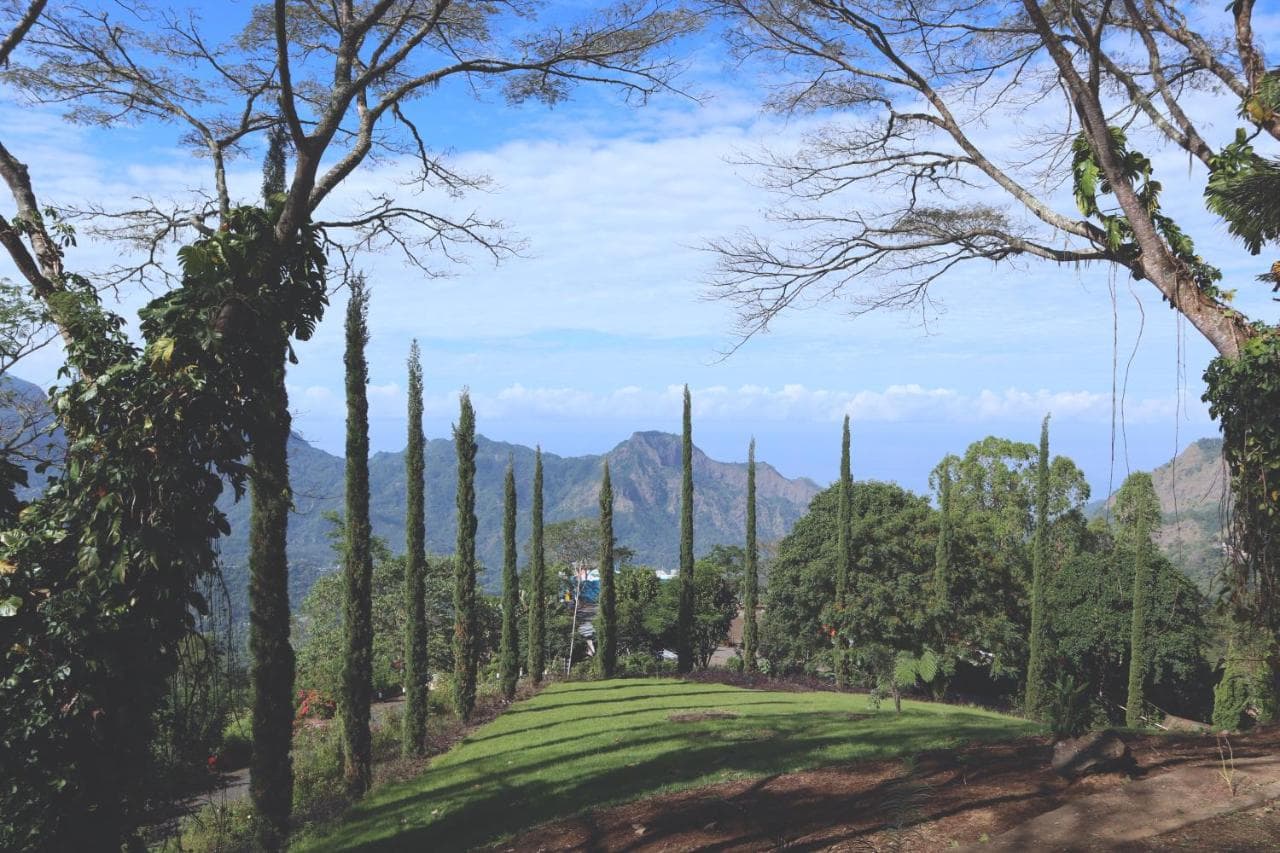Manulalu Jungle and BN Bajawa 27