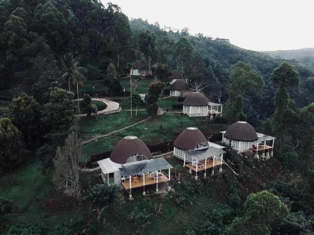 Manulalu Jungle and BN Bajawa