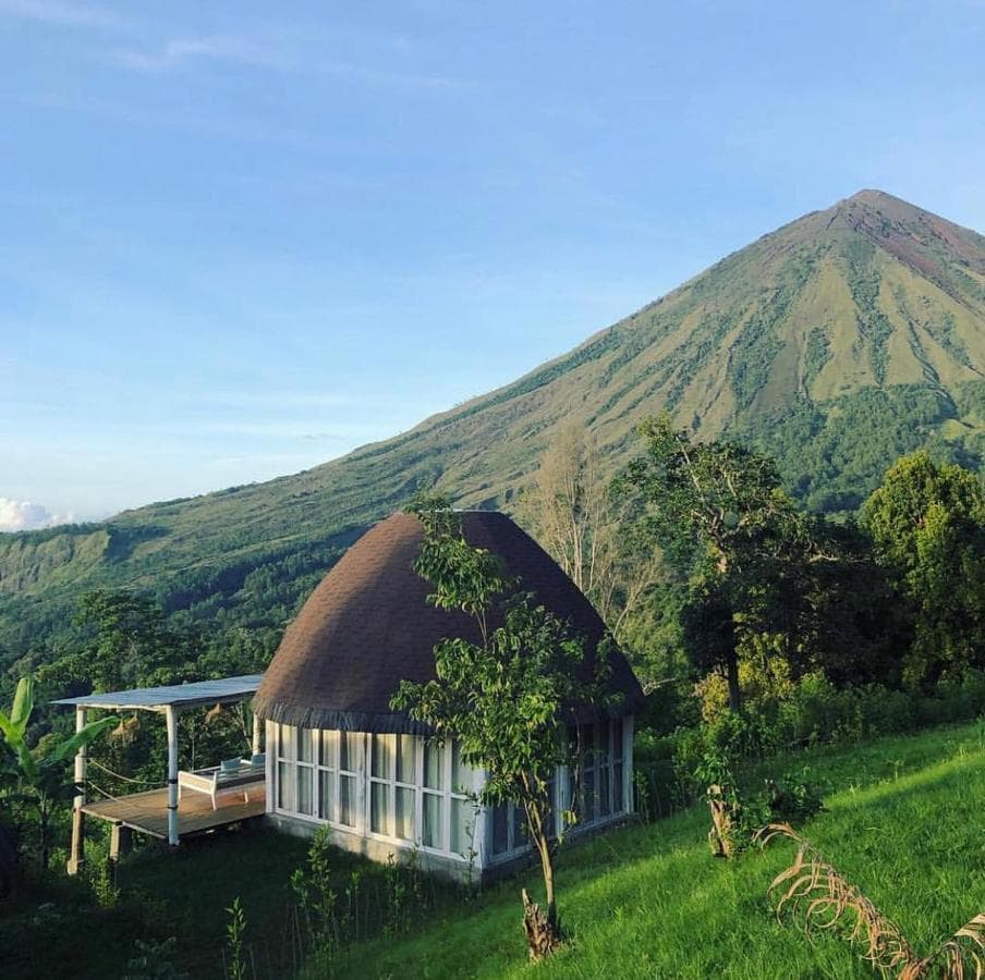 Manulalu Jungle and BN Bajawa 20