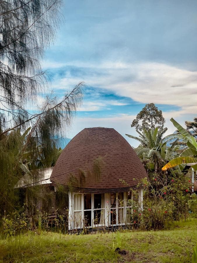Manulalu Jungle and BN Bajawa 17