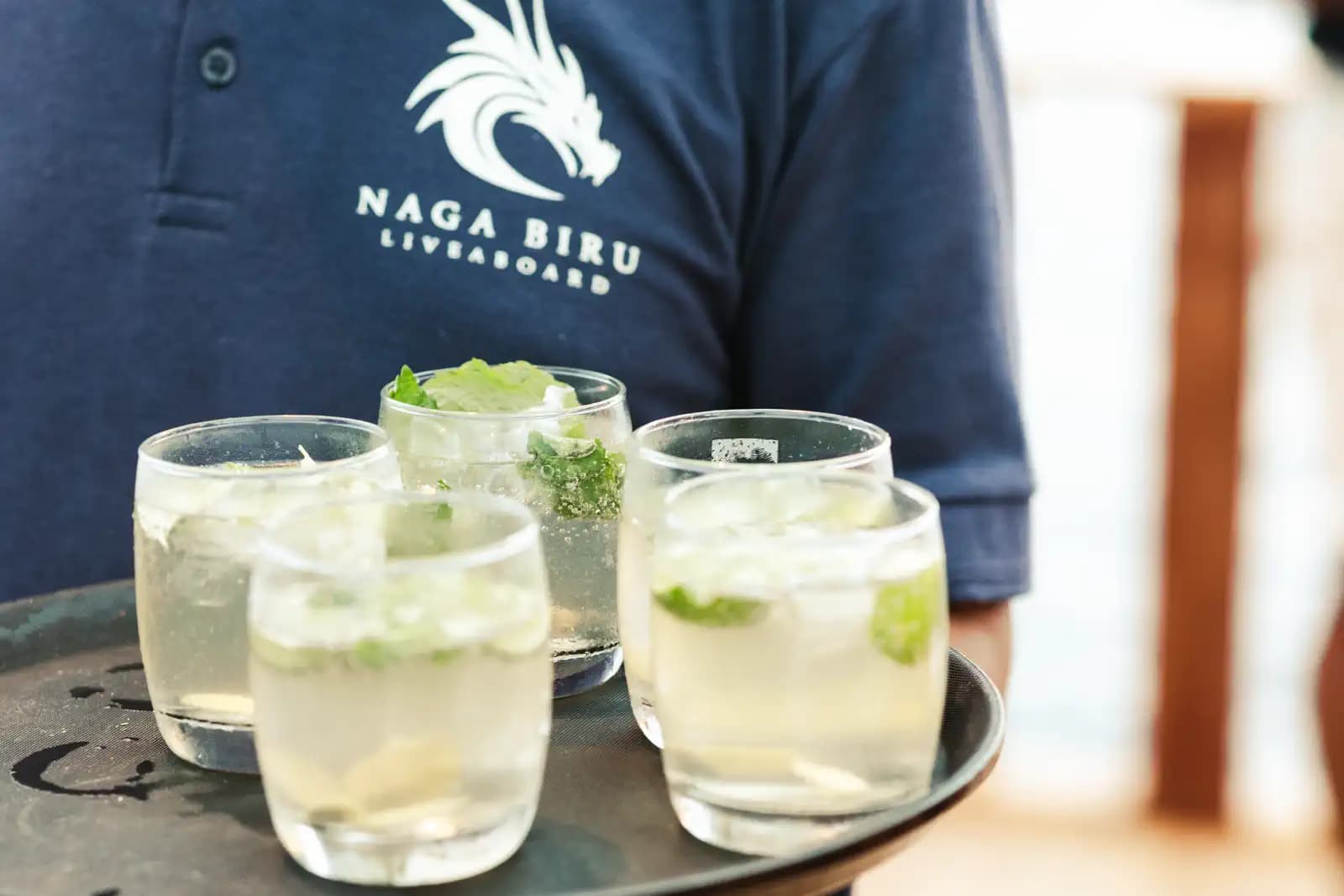 Naga Biru 29