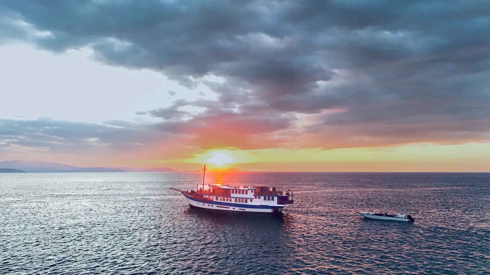 Bali to Komodo Diving Liveaboard | Wild Islands & Whale Sharks | May 2026 1