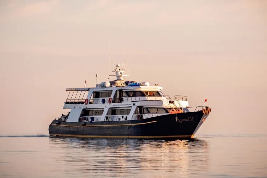 10% OFF On All Bali – Komodo Whale Sharks Liveaboard | Mermaid II | June – August 2026 