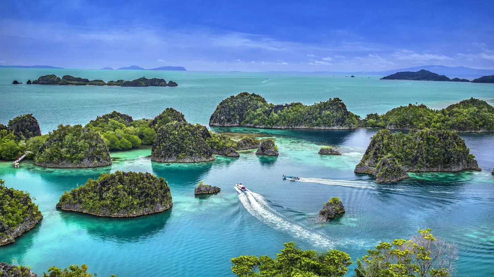 Plongée Raja Ampat : Croisière Liveaboard ou Dive Resort ? Guide Complet